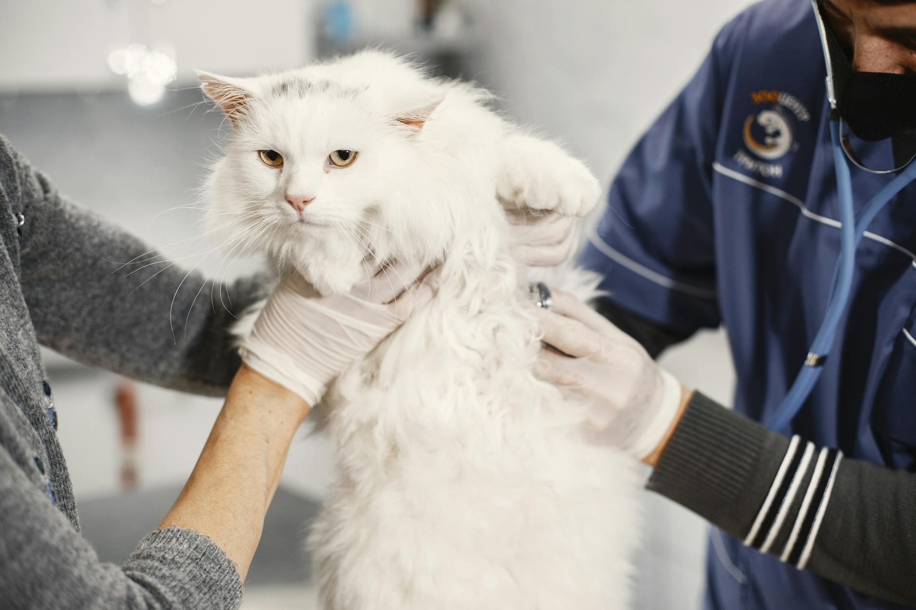 Chirurgie + Zahnsanierung