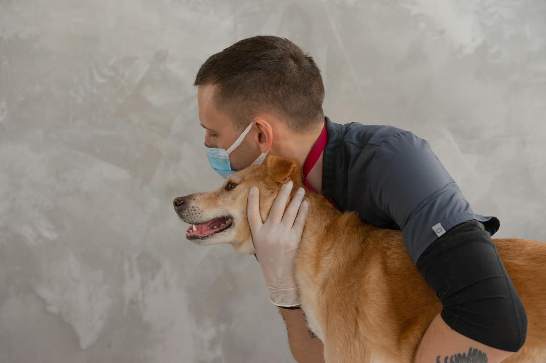 Tierärztin mit Hund in der Praxis